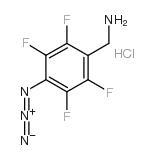 4-叠氮基-2,3,5,6-四氟苄胺盐酸盐