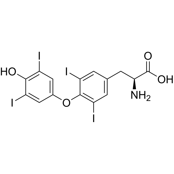 L-Thyroxine