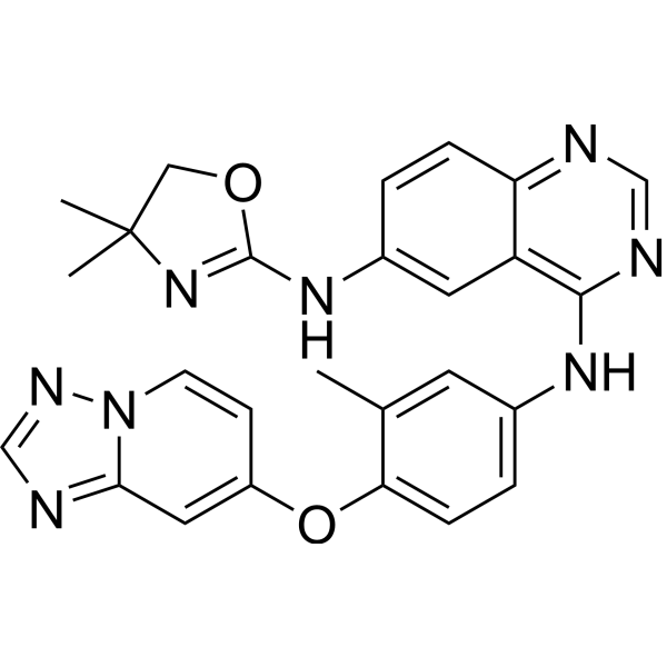 Irbinitinib; ARRY-380; ONT-380