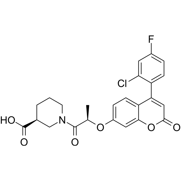 IMT1B