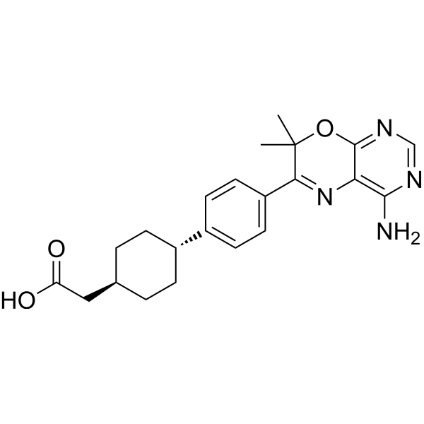 反式-4-[4-(4-氨基-7,7-二甲基-7H-嘧啶并[4,5-B][1,4]噁唑-6-基)苯基]-环己基乙酰胺